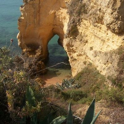 大小单双赚钱平台